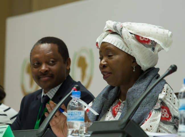 Nkosazana Dlamini-Zuma